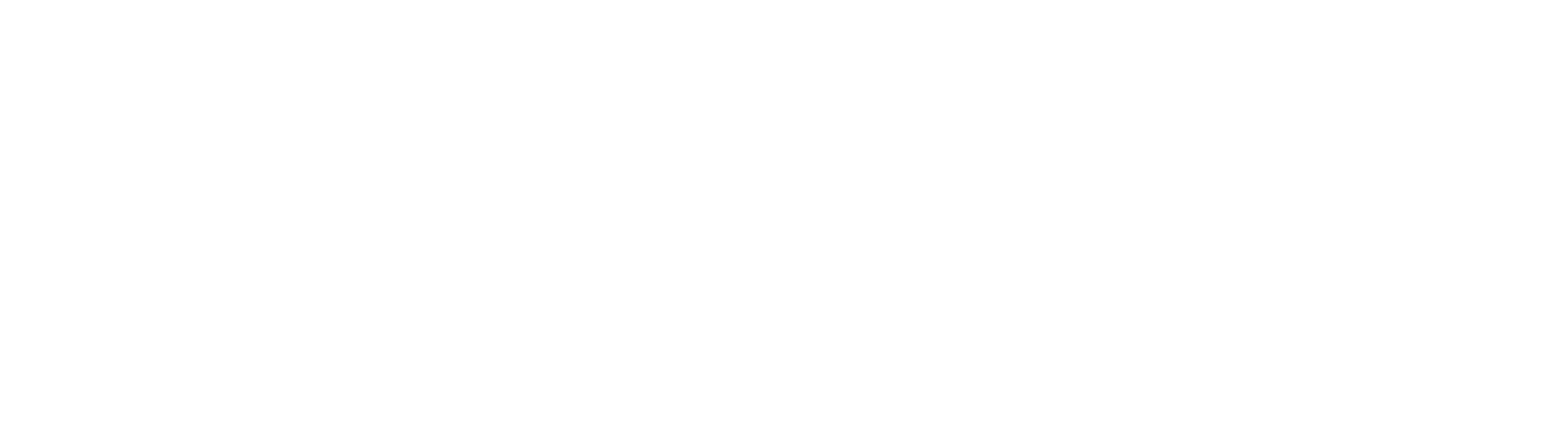 District Four Design In-Line Logo White